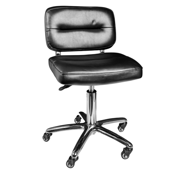 Salon Chair - Black DS-904