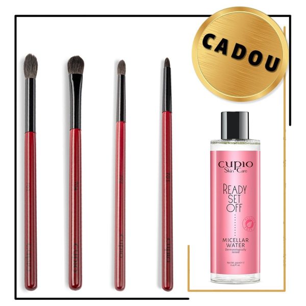 PRO Brushes Kit